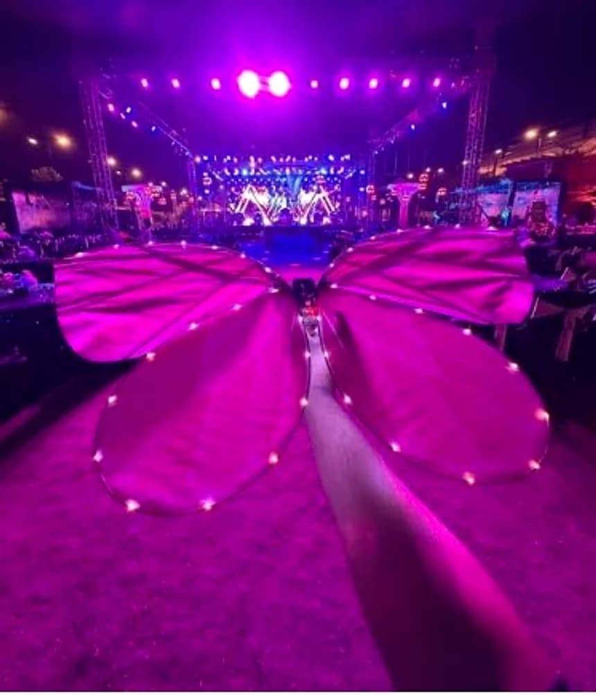 Pink LED Titli wings glowing at a night concert